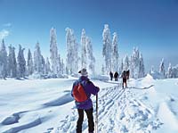 Silvester Skifahren in Bayern